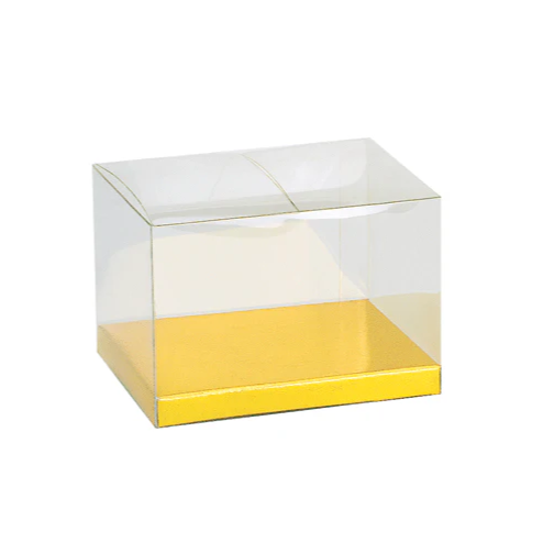 TRANSPARENT BOX 1-1/2 x 6-9/16 x 1-1/4  2-PIECE WITH GOLD INSERT @ ...