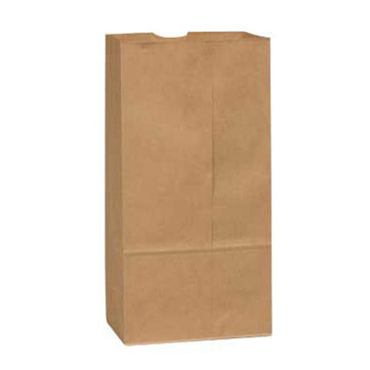 GROCERY BAG  3LB REGULAR @ 500